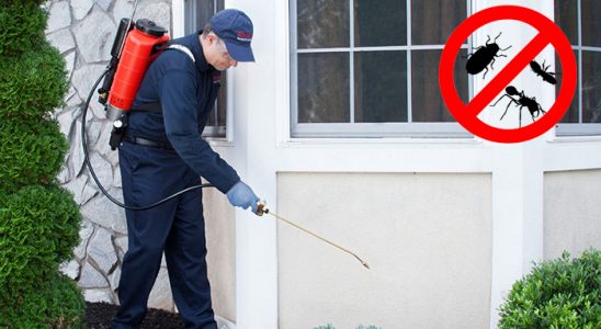 Laçin Hamam Böceği İlaçlama böcek ilaçlama ve haşere kontrolü — ilaclama-tr.com